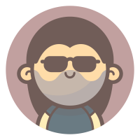 developer